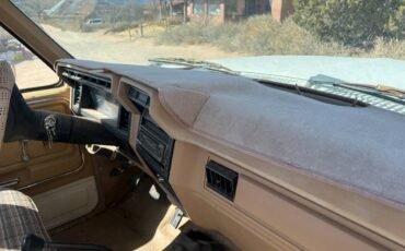 Ford-F-150-1983-brown-158198-7