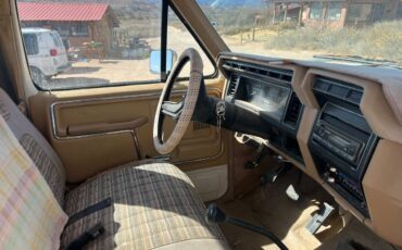 Ford-F-150-1983-brown-158198-8