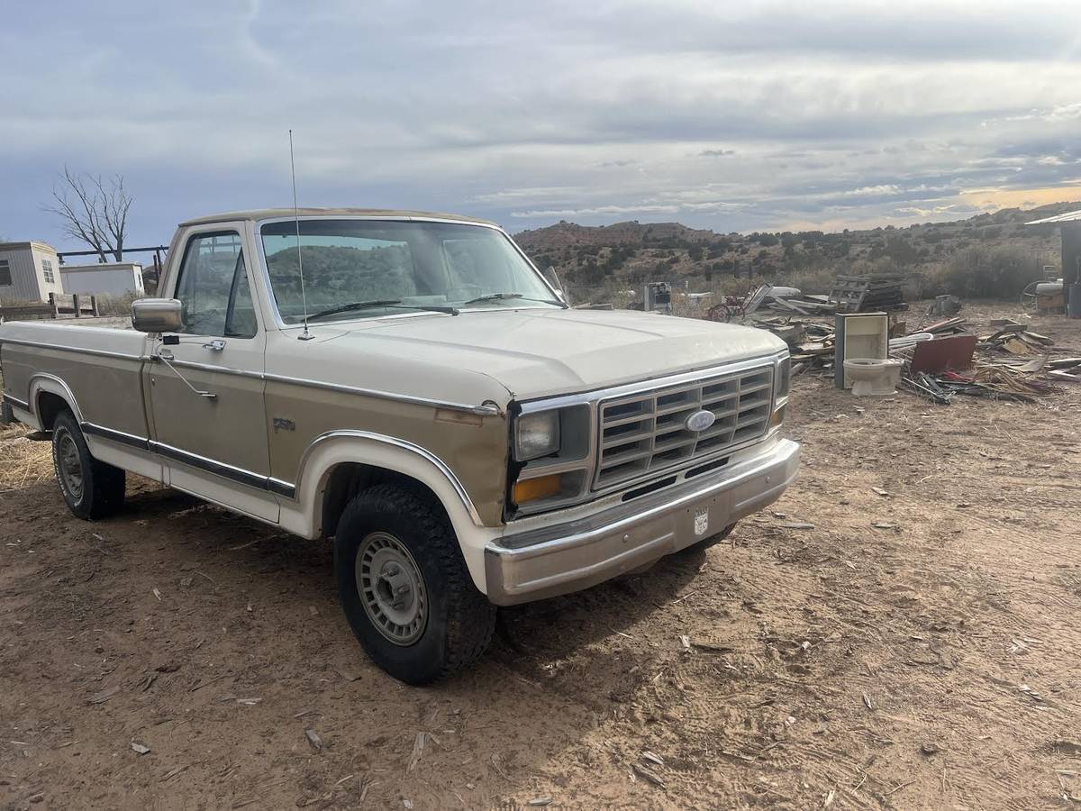 Ford-F-150-1983-brown-158198