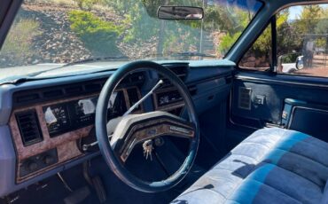 Ford-F-150-1985-Blue-Blue-13230-11