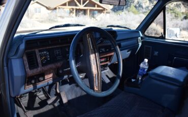 Ford-F-150-1985-Blue-Blue-13230-13