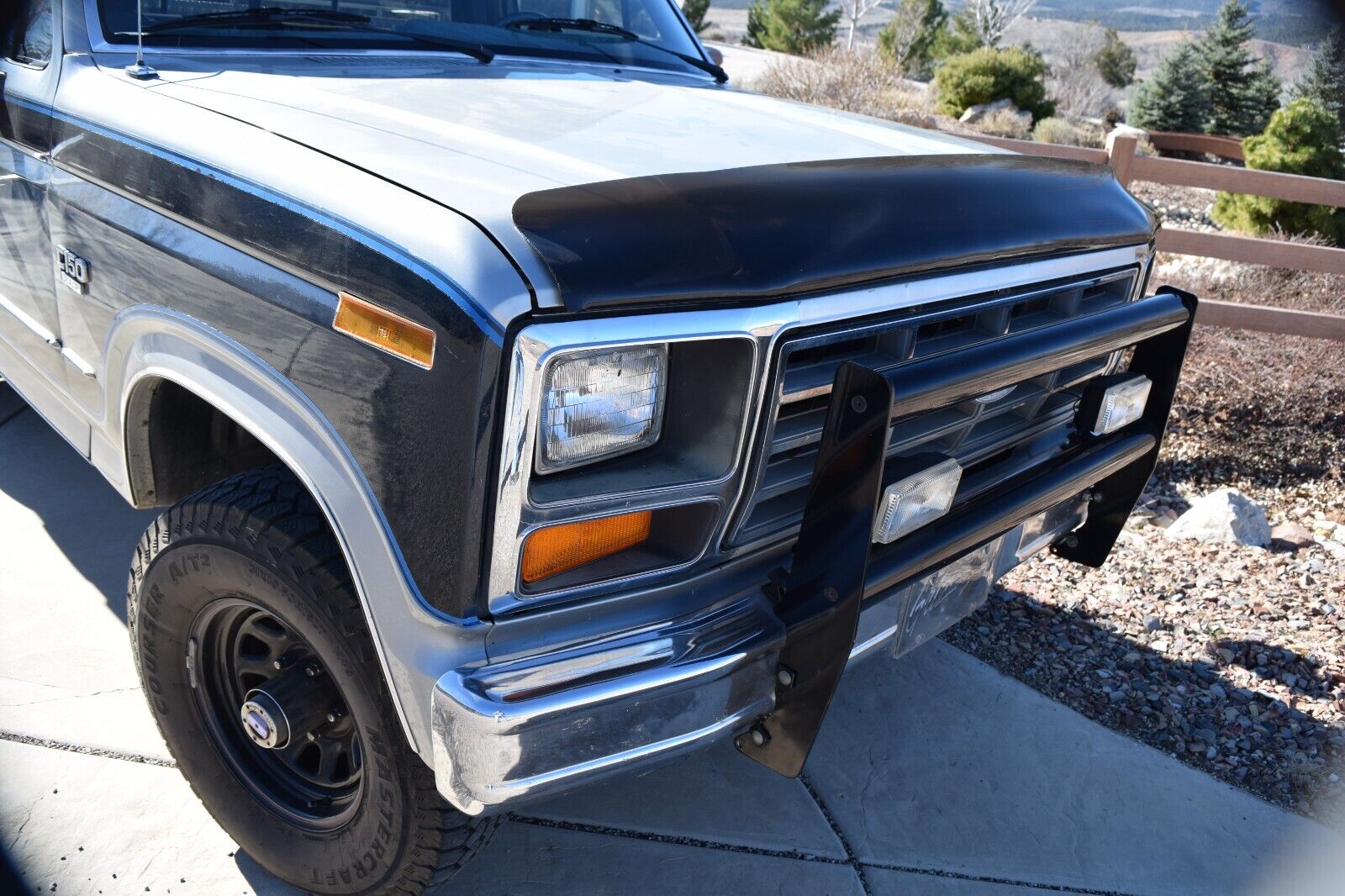 Ford-F-150-1985-Blue-Blue-13230-14