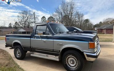 Ford-F-150-1988-Blue-Blue-181856-3