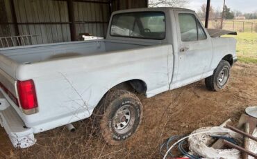 Ford-F-150-1988-grey-193396-5