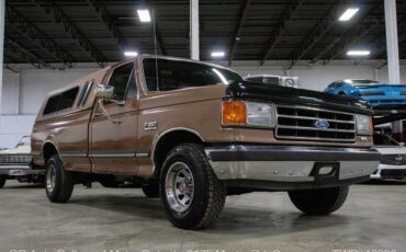 Ford-F-150-1989-Tan-Chestnut-152078-9