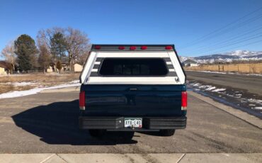 Ford-F-150-1989-green-44257-2