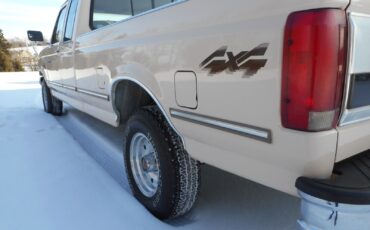 Ford-F-150-1992-Beige-Brown-191967-10