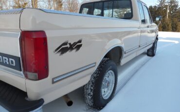 Ford-F-150-1992-Beige-Brown-191967-13