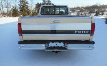 Ford-F-150-1992-Beige-Brown-191967-3