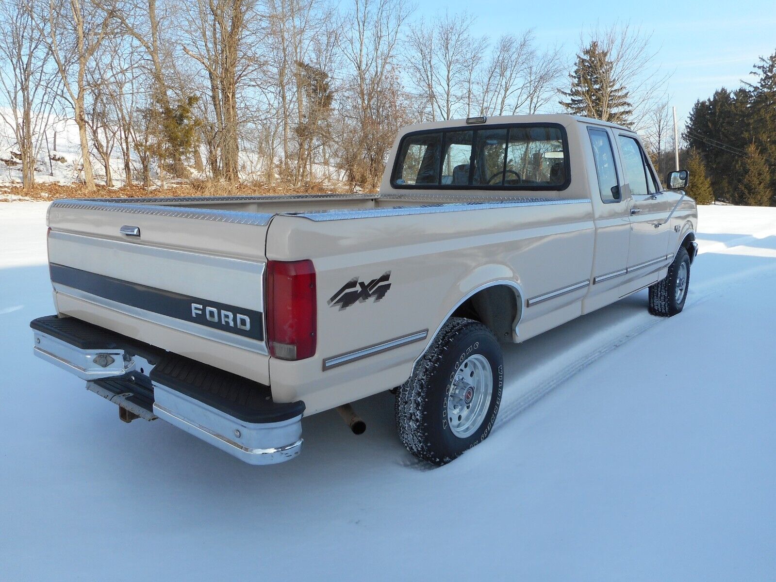 Ford-F-150-1992-Beige-Brown-191967-4