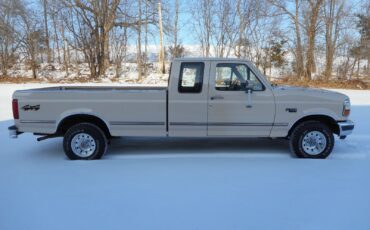 Ford-F-150-1992-Beige-Brown-191967-5