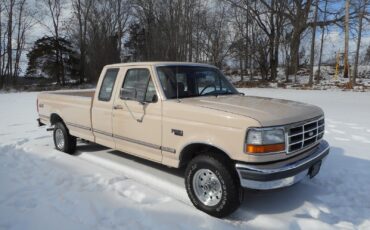 Ford-F-150-1992-Beige-Brown-191967-6