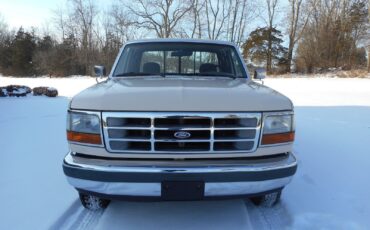 Ford-F-150-1992-Beige-Brown-191967-7