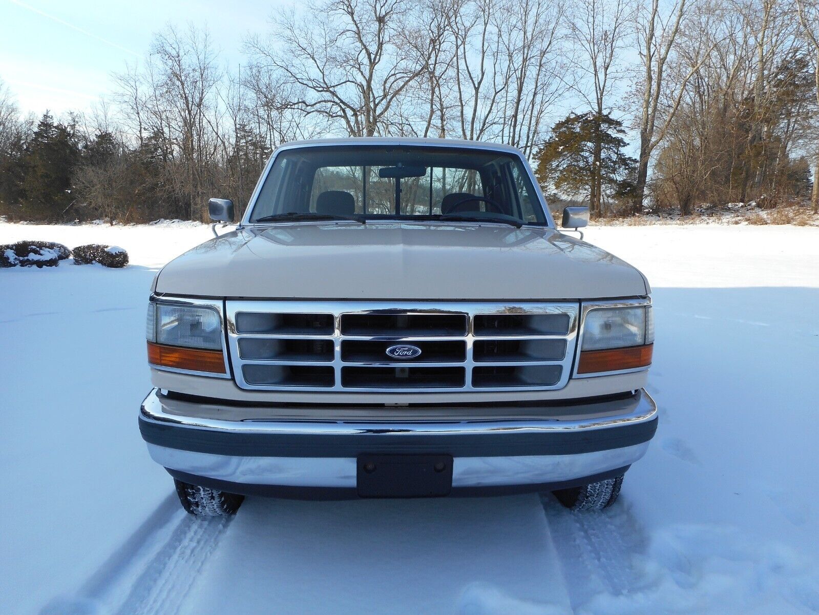 Ford-F-150-1992-Beige-Brown-191967-7