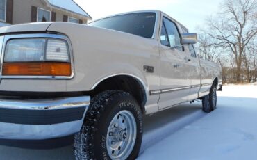 Ford-F-150-1992-Beige-Brown-191967-8