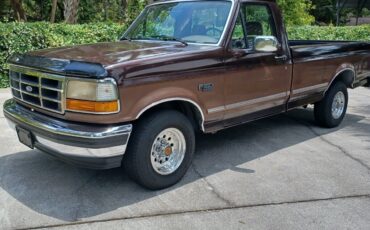 Ford-F-150-1993-Brown-Tan-205996-1