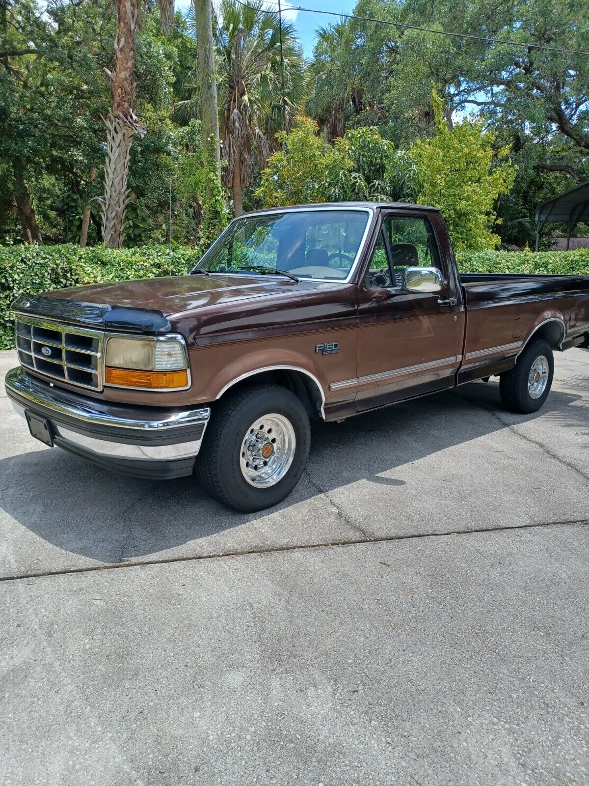 Ford-F-150-1993-Brown-Tan-205996-1