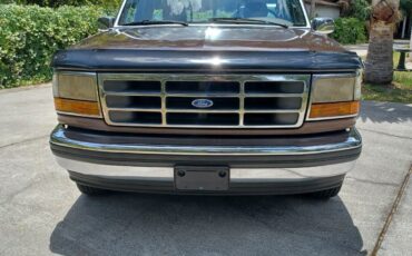 Ford-F-150-1993-Brown-Tan-205996-2