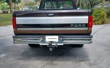 Ford-F-150-1993-Brown-Tan-205996-3