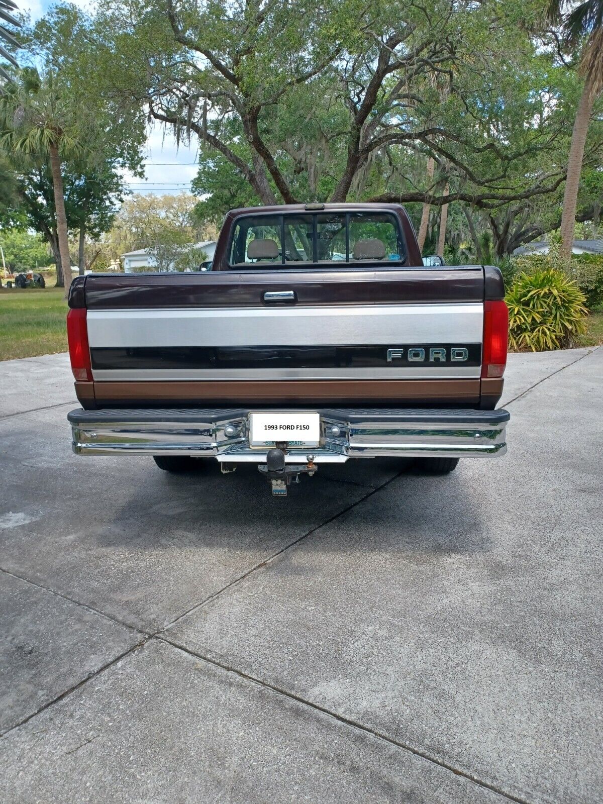 Ford-F-150-1993-Brown-Tan-205996-3