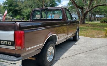 Ford-F-150-1993-Brown-Tan-205996-4