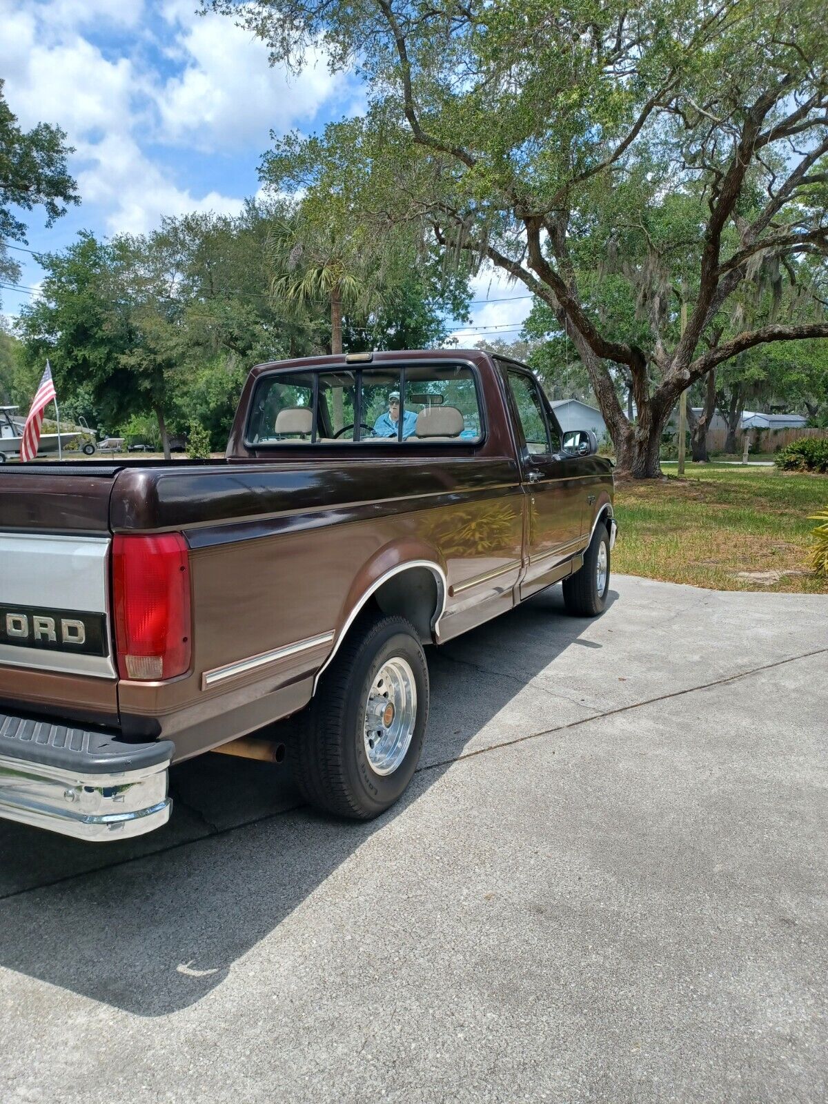 Ford-F-150-1993-Brown-Tan-205996-4