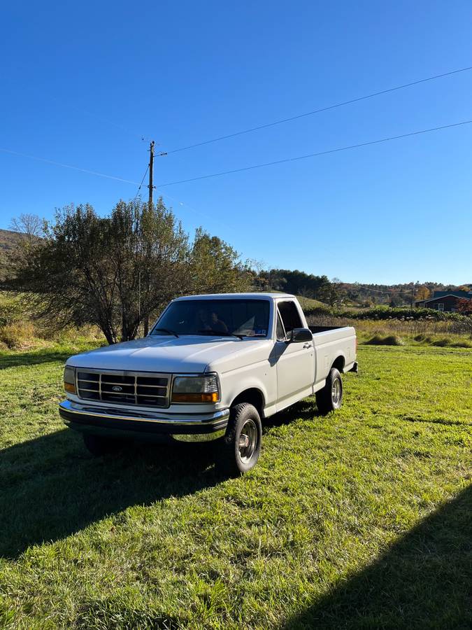 Ford-F-150-1994-white-135732-1