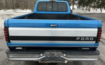 Ford-F-150-1995-blue-181855-13