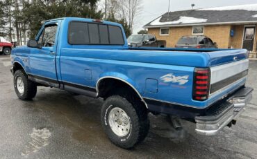 Ford-F-150-1995-blue-181855-14