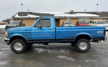 Ford-F-150-1995-blue-181855-15