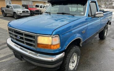 Ford-F-150-1995-blue-181855-16