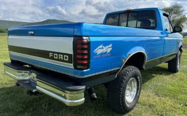 Ford-F-150-1995-blue-181855-2