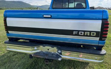 Ford-F-150-1995-blue-181855-3