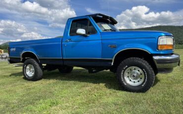 Ford-F-150-1995-blue-181855