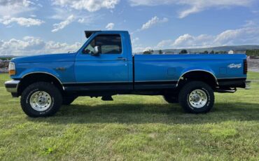 Ford-F-150-1995-blue-181855-4