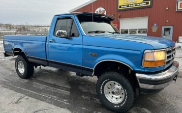 Ford-F-150-1995-blue-181855-9