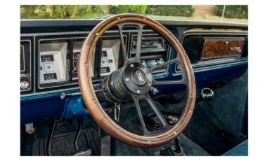 Ford-F-150-Pickup-1977-Blue-Blue-3182-3