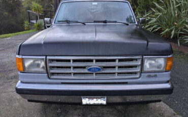 Ford-F-150-Pickup-1988-Gray-Gray-148864-1