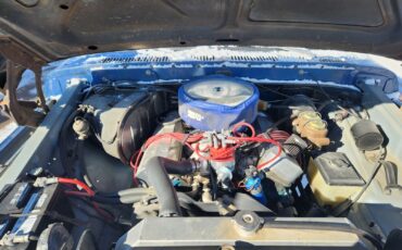 Ford-F-250-1973-Blue-Blue-14162-10