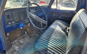 Ford-F-250-1973-Blue-Blue-14162-11