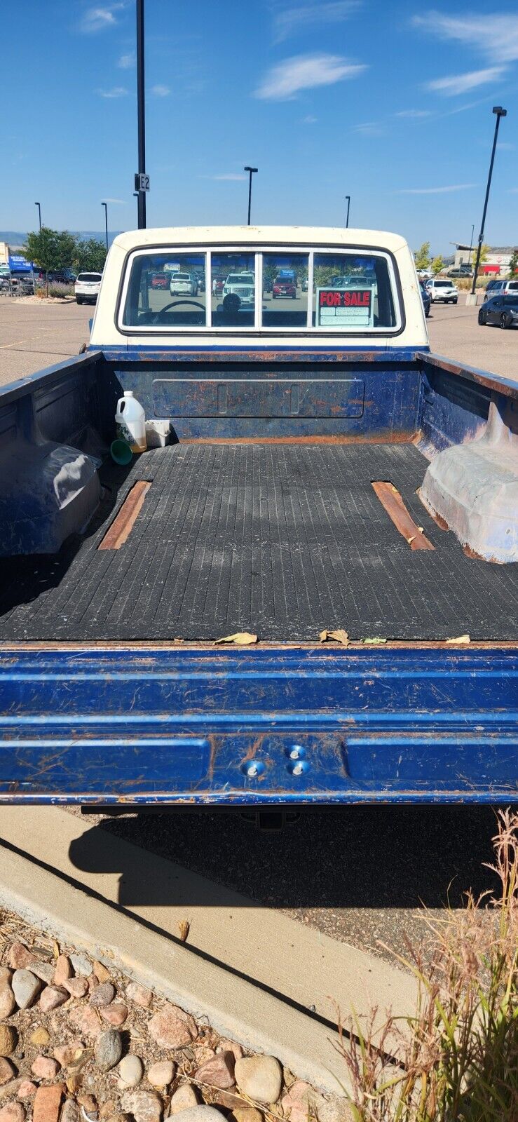 Ford-F-250-1973-Blue-Blue-14162-17