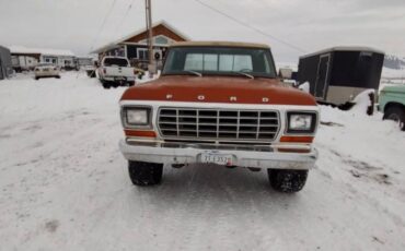 Ford-F-250-1979-orange-236573-3