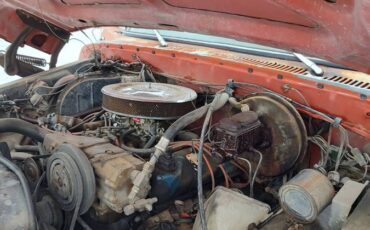 Ford-F-250-1979-orange-236573-7