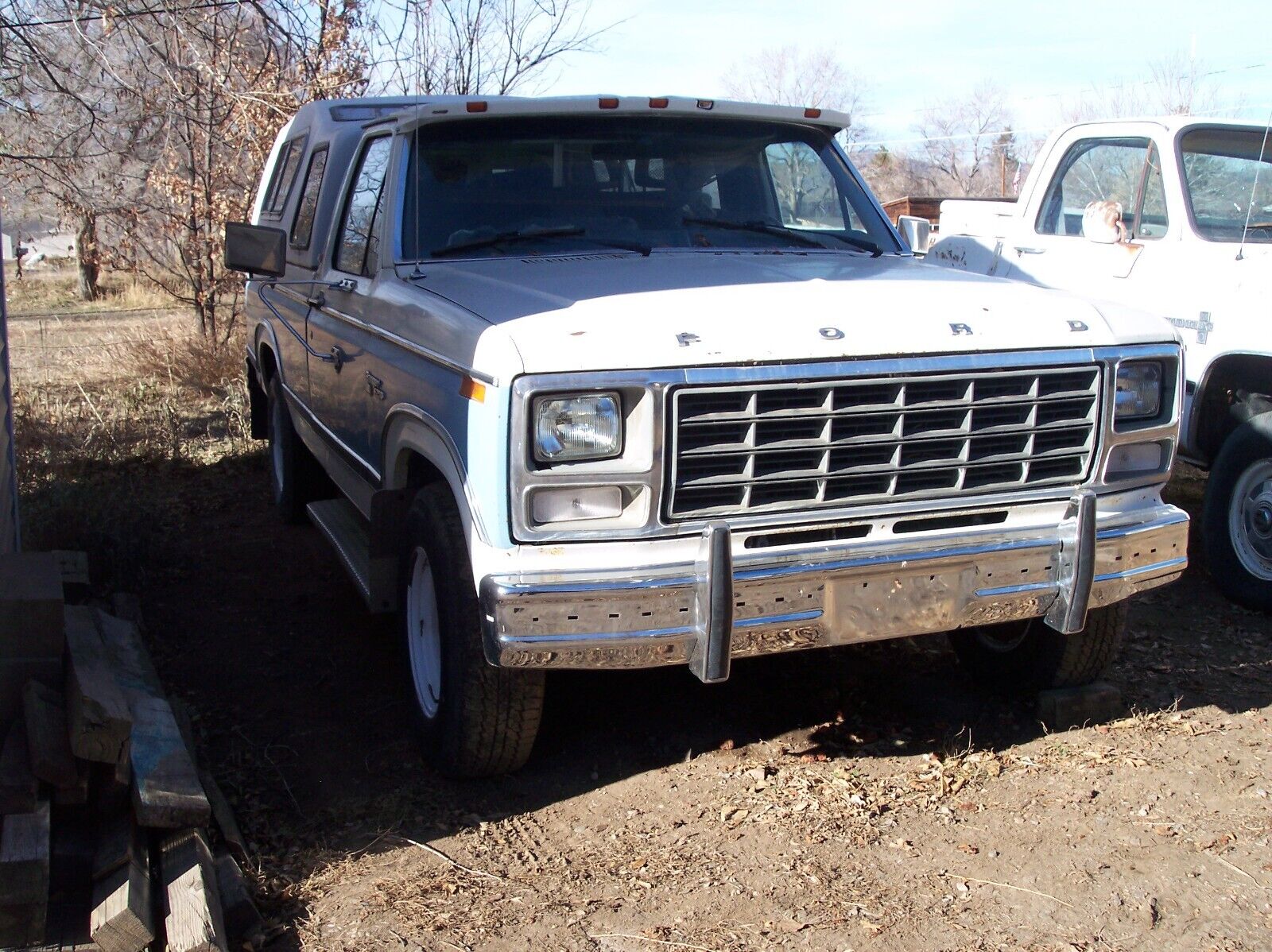 Ford-F-250-1981-Blue-220480-1