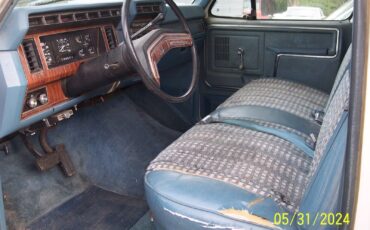 Ford-F-250-1981-Blue-220480-13