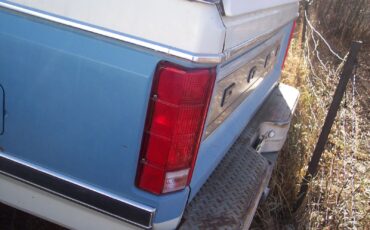 Ford-F-250-1981-Blue-220480-2