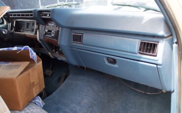 Ford-F-250-1981-Blue-220480-5