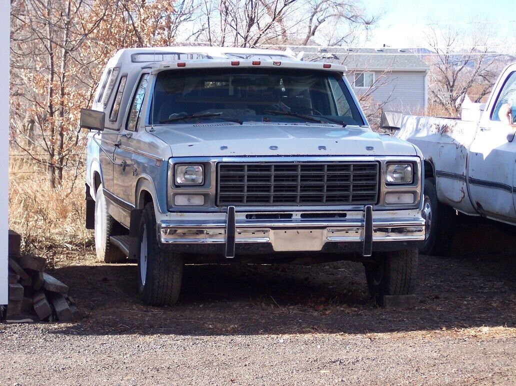 Ford-F-250-1981-Blue-220480-8