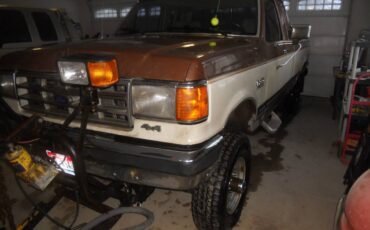 Ford-F-250-1988-brown-205996-1