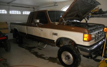 Ford-F-250-1988-brown-205996-2